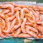 Gamba's bakken