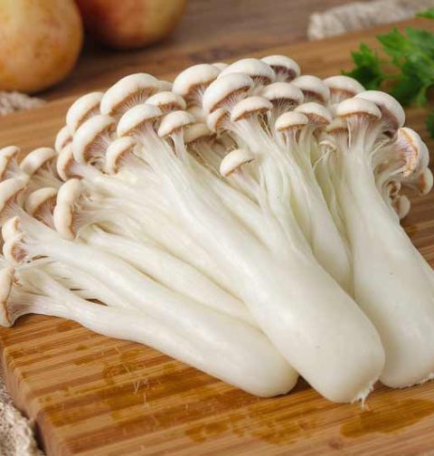 Enoki bakken
