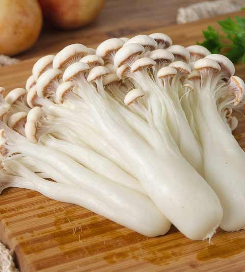 Enoki bakken
