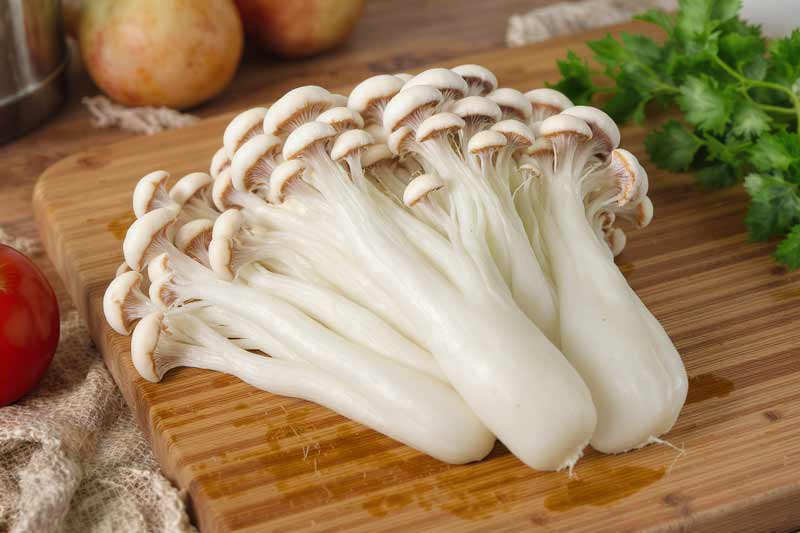 Enoki bakken