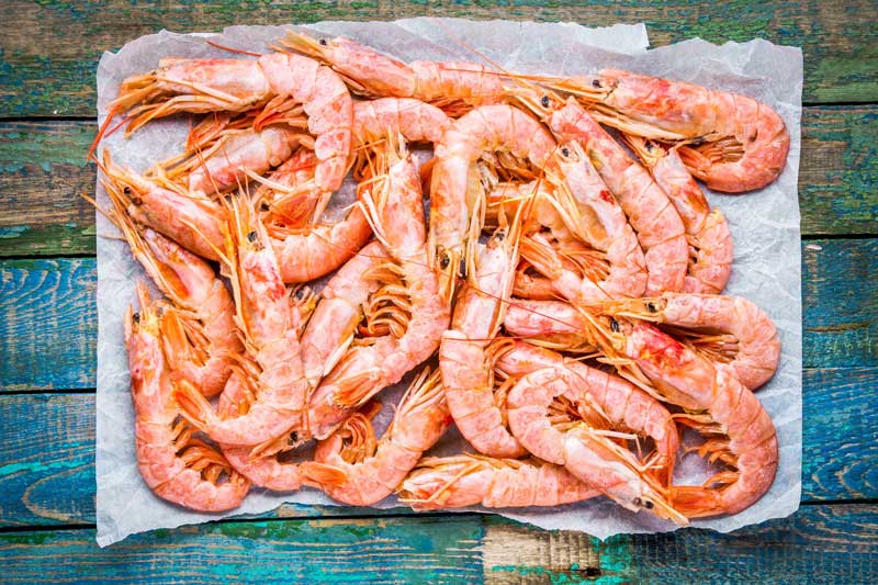 Gamba's bakken