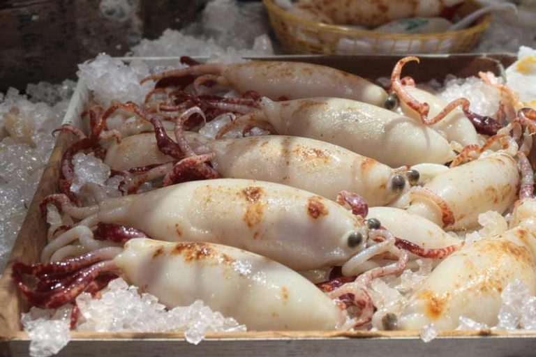 Inktvis bereiden, zeekat, de octopus, en de pijlinktvis.