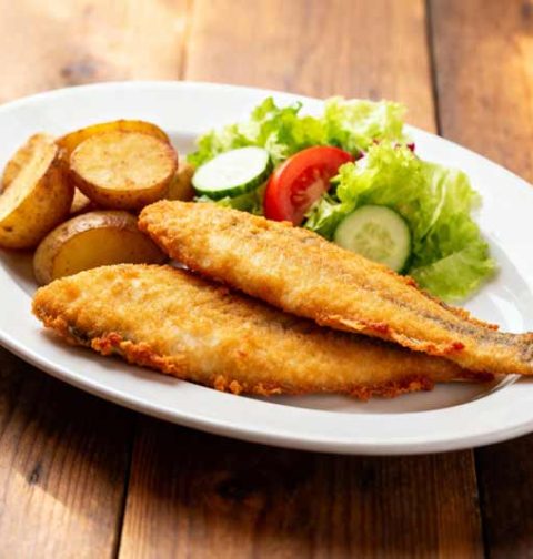 Tilapia bakken