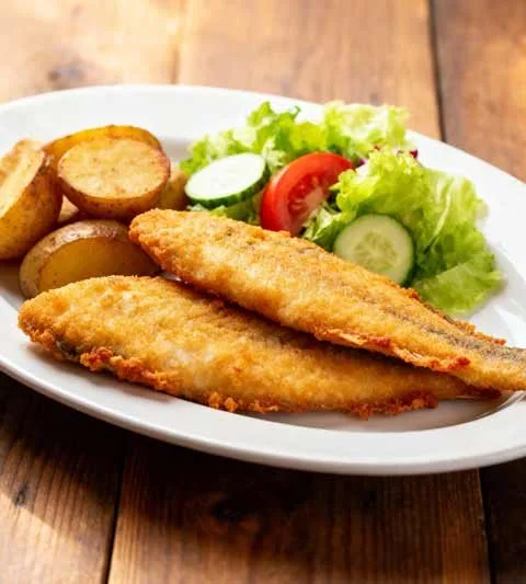 Tilapia bakken